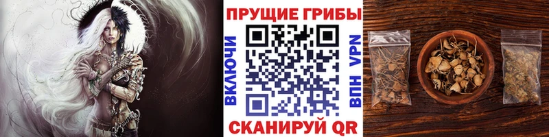 Псилоцибиновые грибы мухоморы  Отрадная 